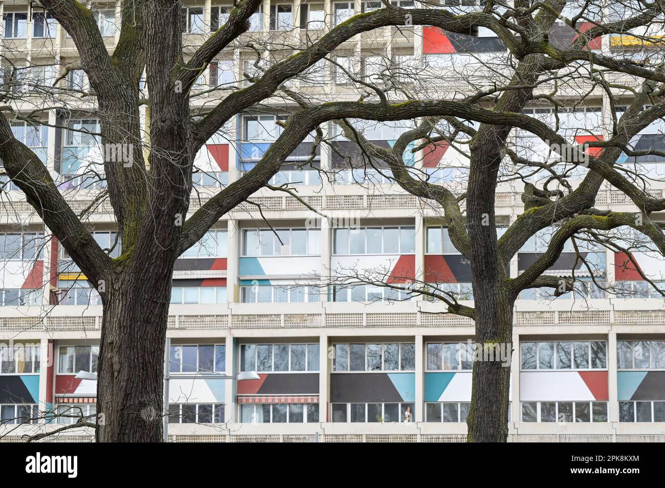 GERMANIA, condominio Unité d'habitation Typ Berlin, progettato dall'architetto francese svizzero le Corbusier, costruito nel 1957/58 per la mostra Interbau IBA 57 / DEUTSCHLAND, Berlin, Corbusierhaus, Wohnaus Unité d'habitation Typ Berlin, entworfen von Architekt le Corbusier, gebaut 1957/58 für die internationale Bauausstellung Interbau IBA 57 Foto Stock