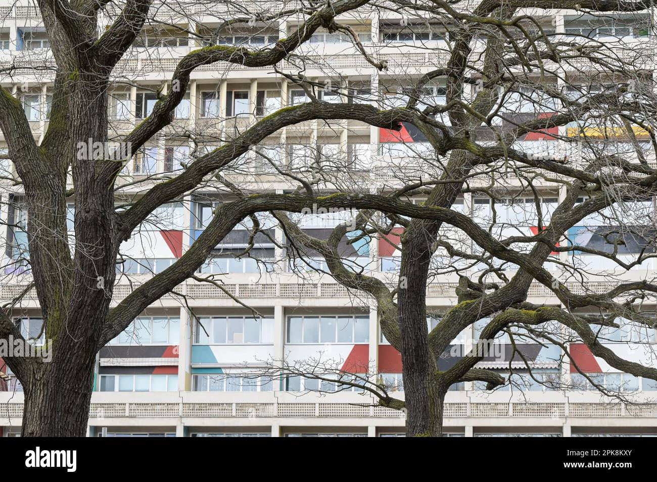 GERMANIA, condominio Unité d'habitation Typ Berlin, progettato dall'architetto francese svizzero le Corbusier, costruito nel 1957/58 per la mostra Interbau IBA 57 / DEUTSCHLAND, Berlin, Corbusierhaus, Wohnaus Unité d'habitation Typ Berlin, entworfen von Architekt le Corbusier, gebaut 1957/58 für die internationale Bauausstellung Interbau IBA 57 Foto Stock