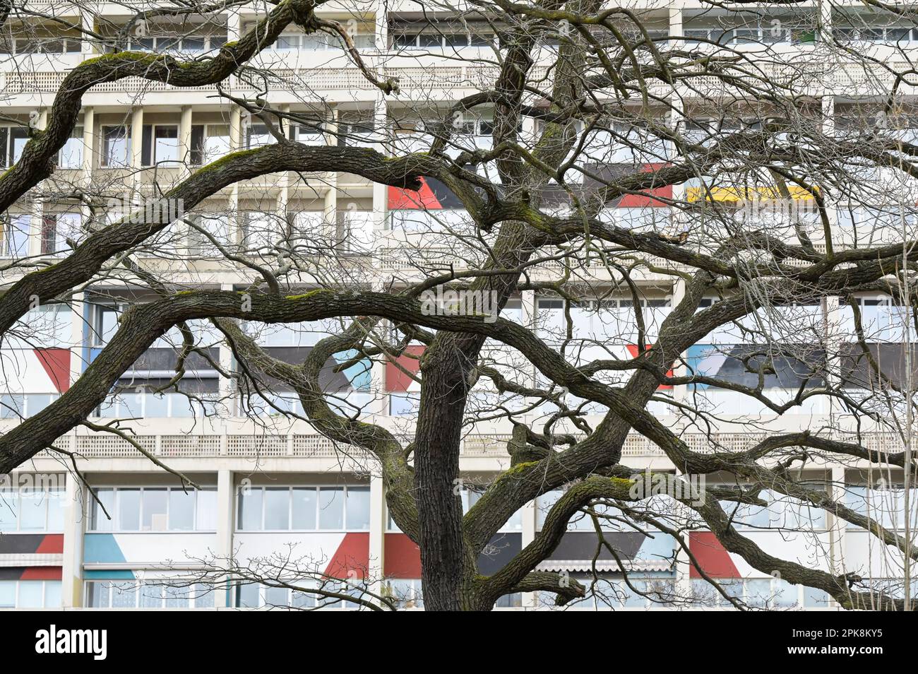 GERMANIA, condominio Unité d'habitation Typ Berlin, progettato dall'architetto francese svizzero le Corbusier, costruito nel 1957/58 per la mostra Interbau IBA 57 / DEUTSCHLAND, Berlin, Corbusierhaus, Wohnaus Unité d'habitation Typ Berlin, entworfen von Architekt le Corbusier, gebaut 1957/58 für die internationale Bauausstellung Interbau IBA 57 Foto Stock