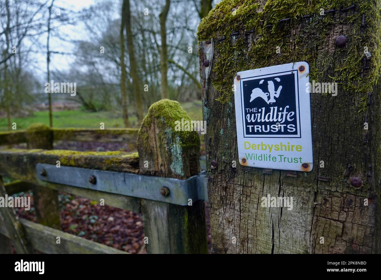 New Mills Nature Reserve, Derbyshire Foto Stock