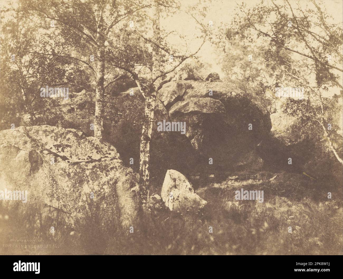 Fontainebleau 1854 di Charles Marville Foto Stock