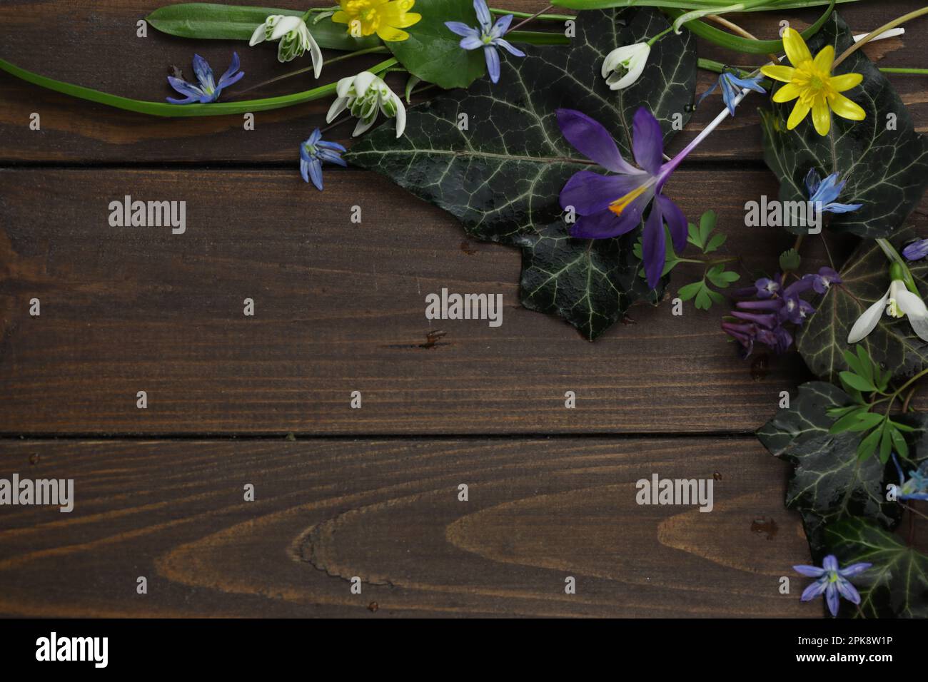 sfondo di legno marrone con fiori primaverili, foglie e spazio copia Foto Stock