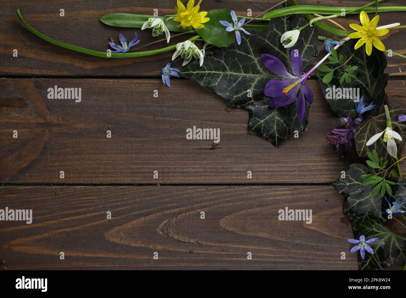 sfondo di legno marrone con fiori primaverili, foglie e spazio copia Foto Stock