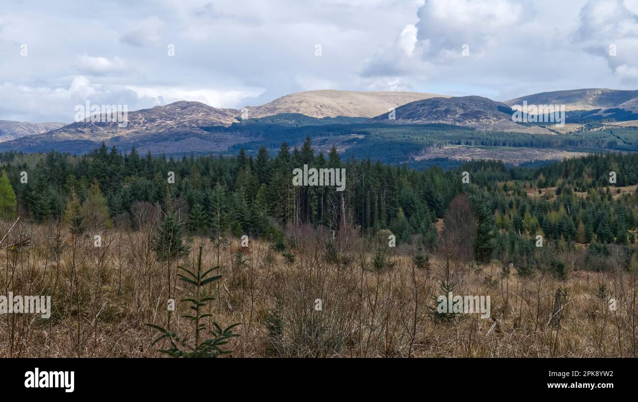 Colline tra Glen Trool e Newton Stewart, Galloway Forest Park, Dumfries e Galloway, Scozia, Regno Unito Foto Stock