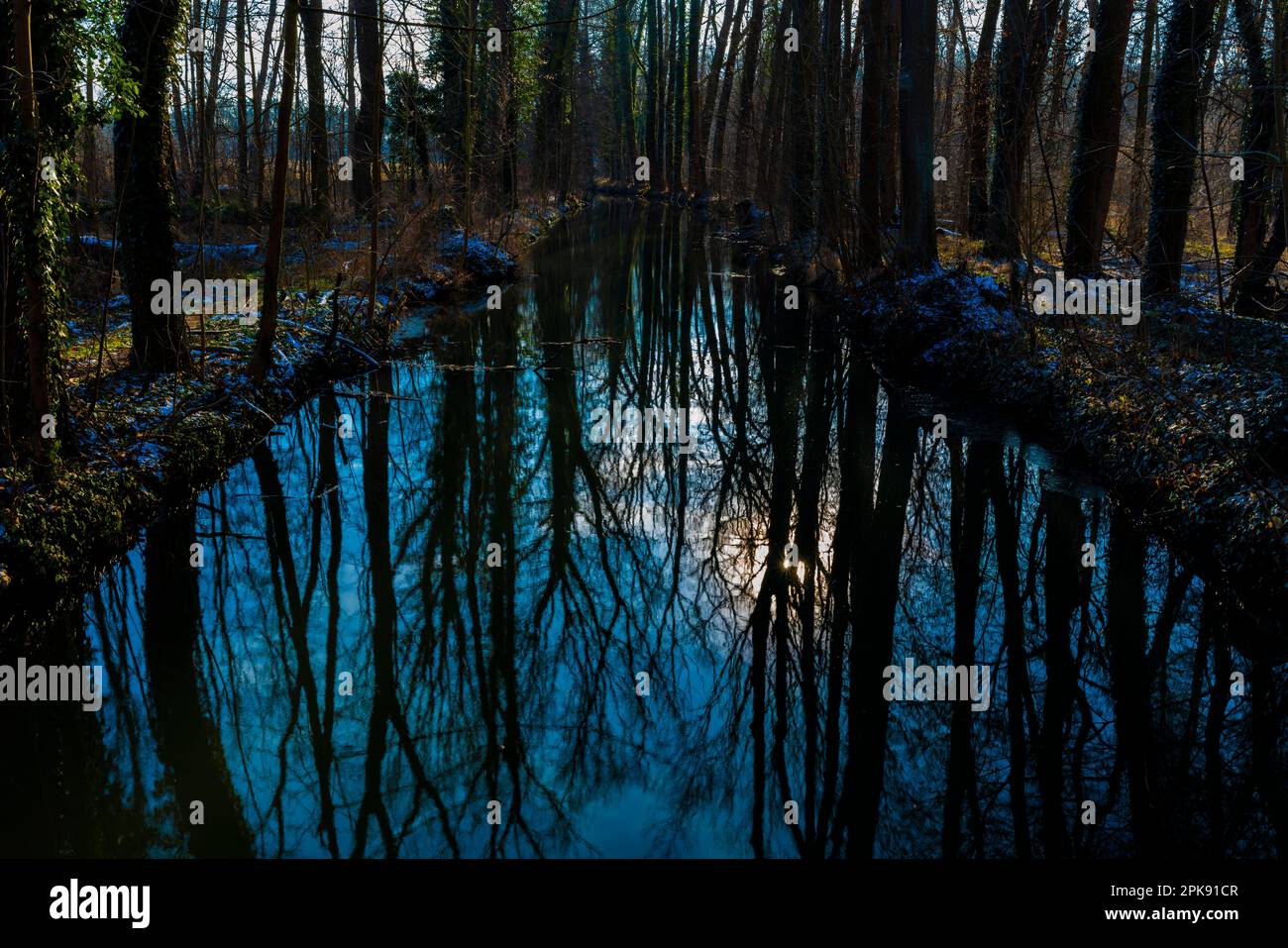 Grande fiume in una foresta in inverno, belle riflessioni d'acqua Foto Stock