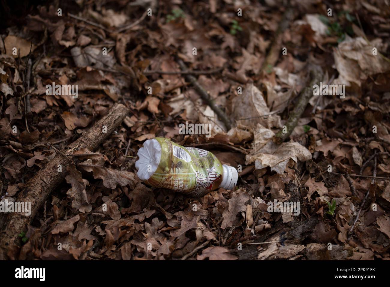 Inquinamento ambientale, bottiglia di plastica di bevanda scartata incautamente nella foresta Foto Stock