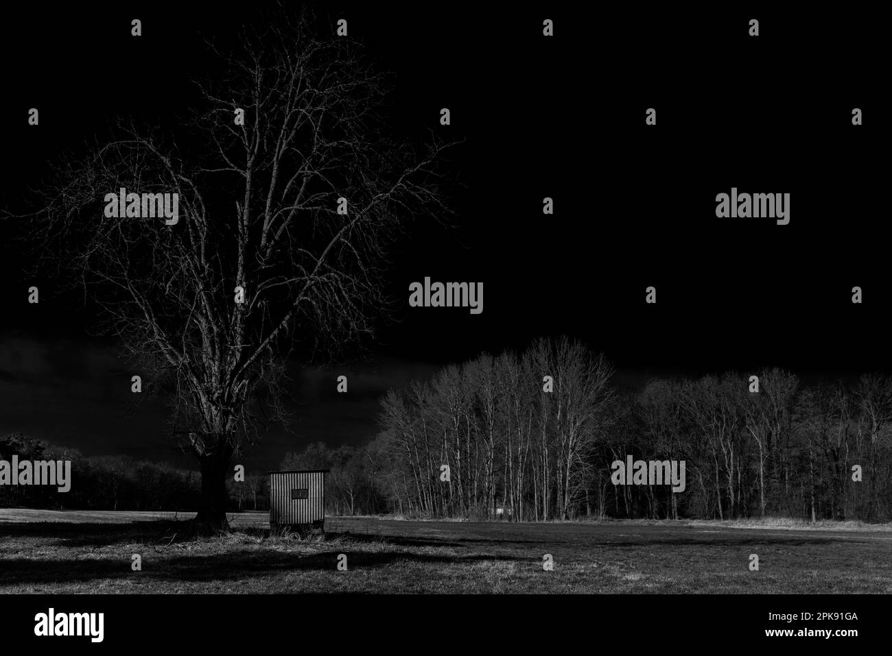 Piccola capanna di caccia di un cacciatore in un prato sotto un grande albero, fotografia in bianco e nero Foto Stock