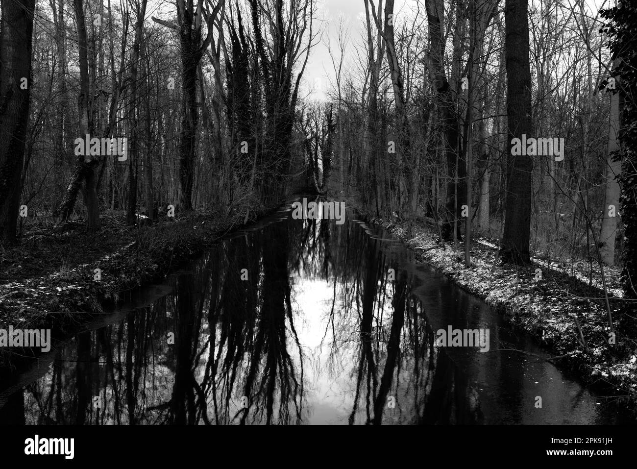 Fiume ampio in una foresta in inverno, riflessione d'acqua, fotografia in bianco e nero Foto Stock