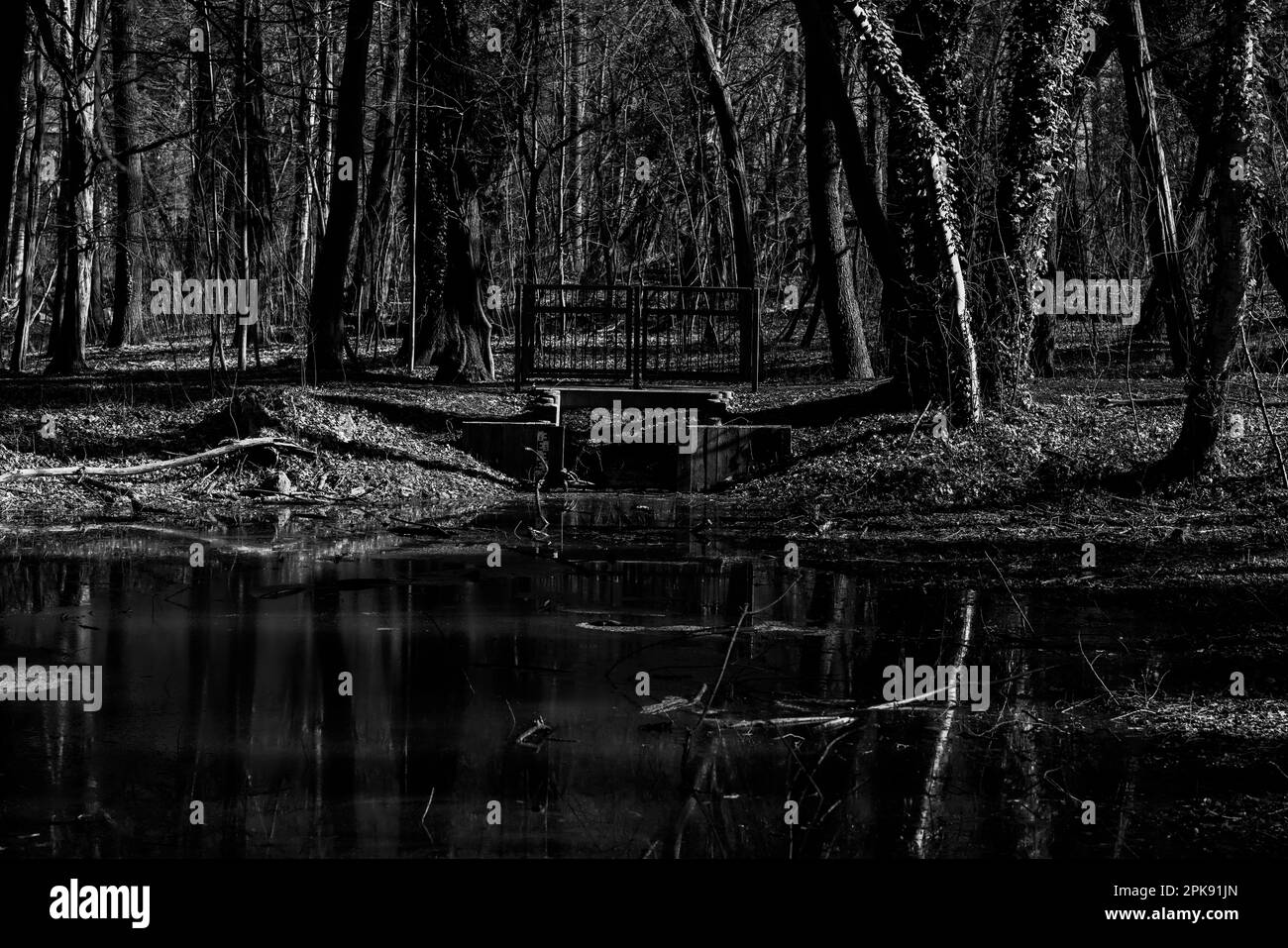 Piccolo fiume in una foresta, piccolo ponte di ferro per escursionisti, fotografia in bianco e nero Foto Stock