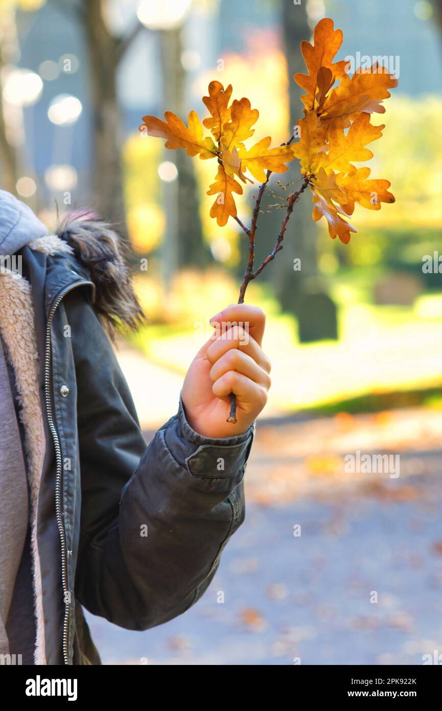 Giovane adulto in giacca invernale con rametto colorato con foglie autunnali Foto Stock