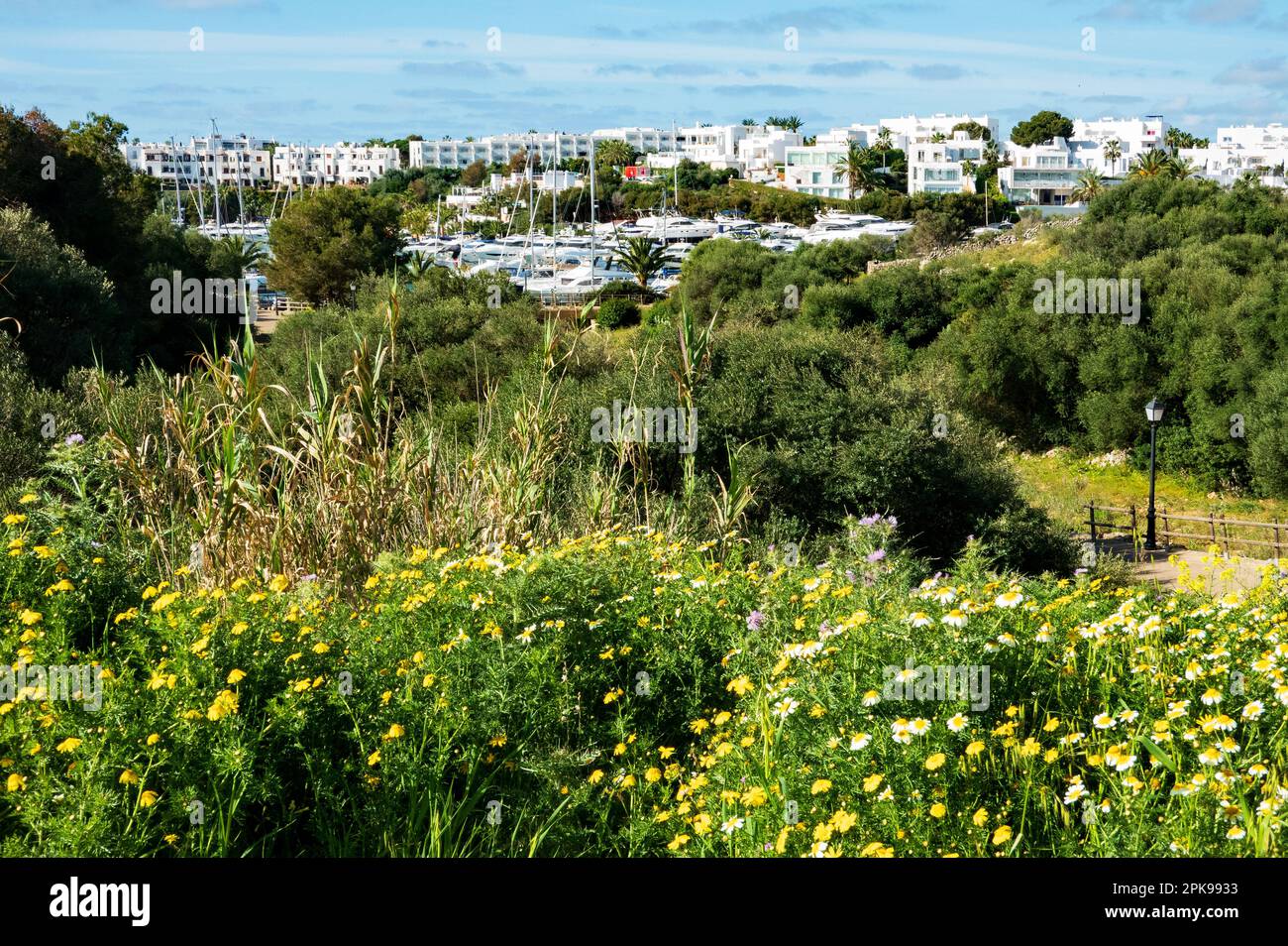 Cala d’Or, Maiorca, Isole Baleari, Spagna - 28 marzo, 2023. Vista sul porto con un sacco di barche, Maiorca Foto Stock