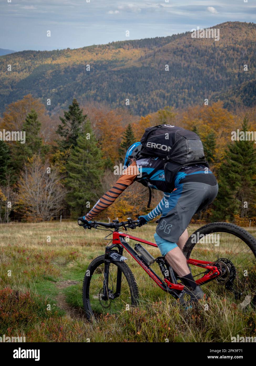 Mountain Biker su un unico sentiero su un pascolo di montagna negli alti Vosgi. Discesa dal crinale principale e dal col du Herrenberg verso Mittlach. Foto Stock