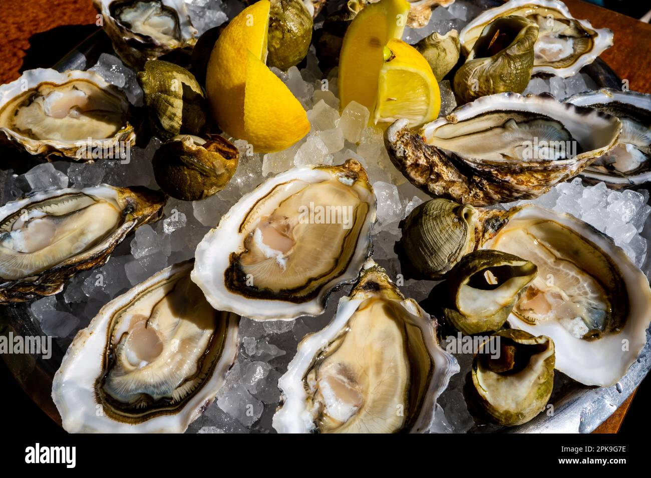 Ostriche fresche e piatto di whelk con limone sul ghiaccio. Foto di alta qualità Foto Stock