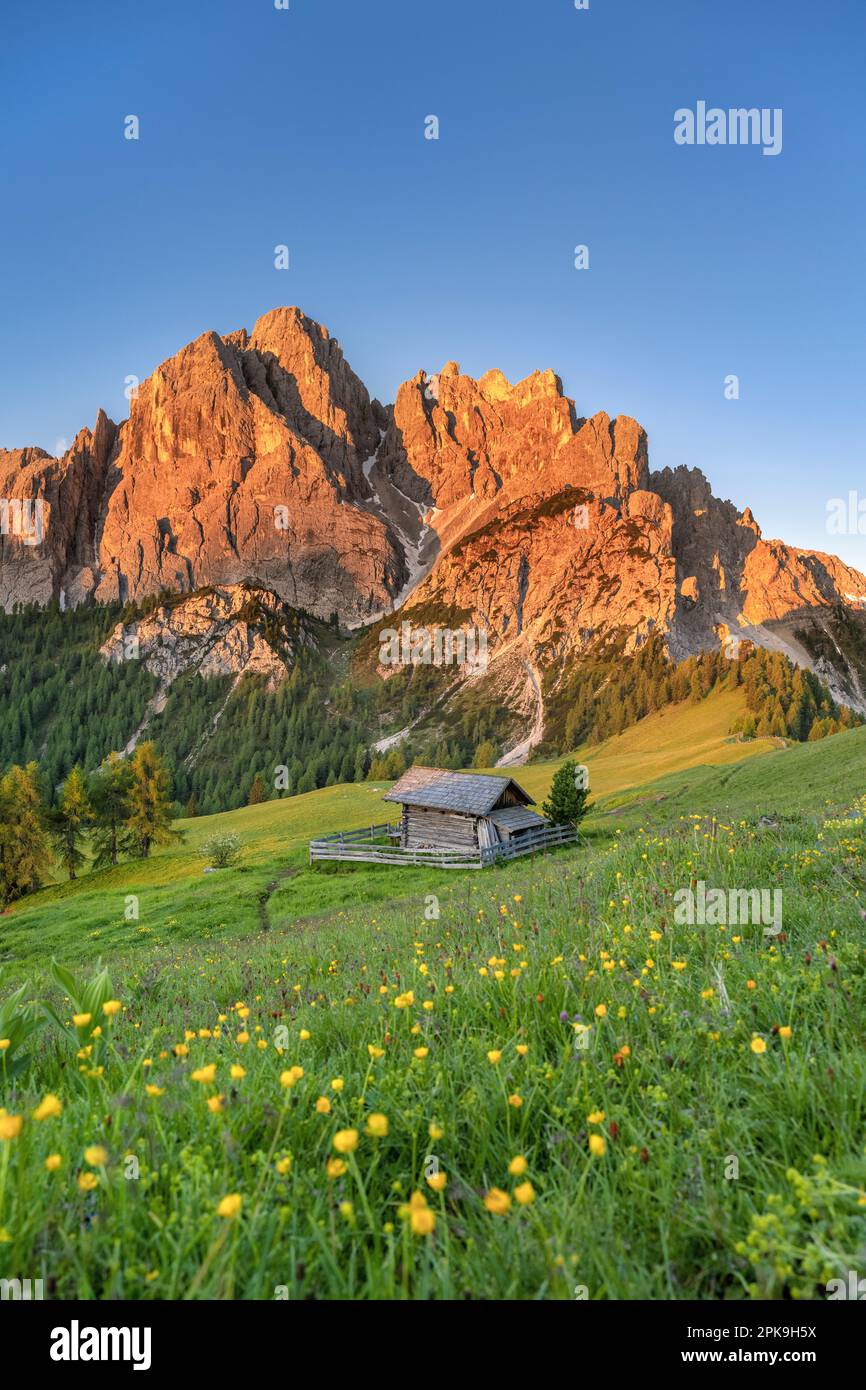 Dobbiaco, Val Pusteria, Provincia di Bolzano, Alto Adige, Italia. Alpenglow all'alba nelle rocce di Dürrenstein Foto Stock