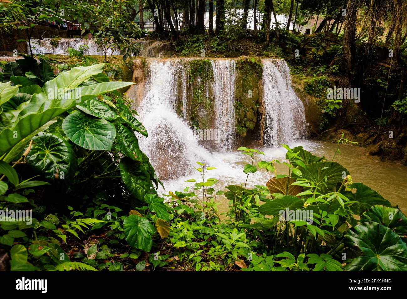 Bellissimo paesaggio di Agua Azul Cascades parco a Palenque, Messico. Foto con paesaggio vivace. Foto Stock
