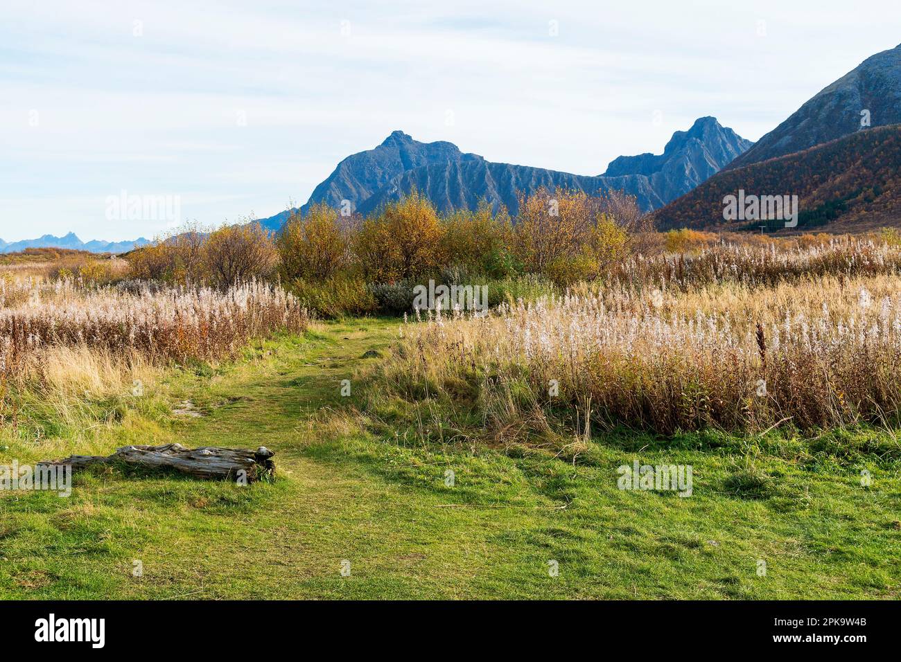 Norvegia, Lofoten, Austvagoya, paesaggio vicino Grunnfor, Rolfs Bar, campeggio Foto Stock