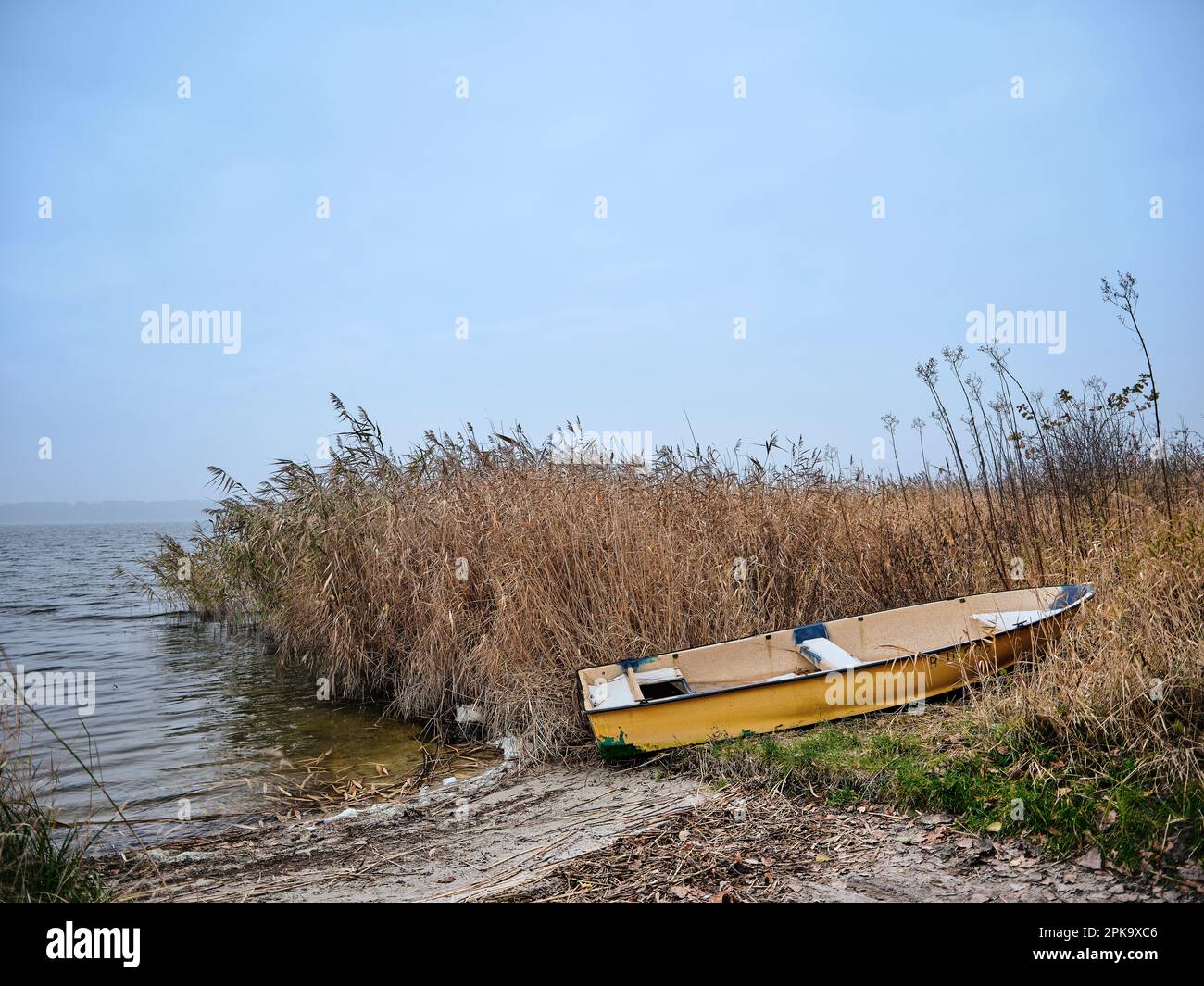 Paesaggio su Usedom in inverno, penisola Cosim, barca a remi in canne Foto Stock