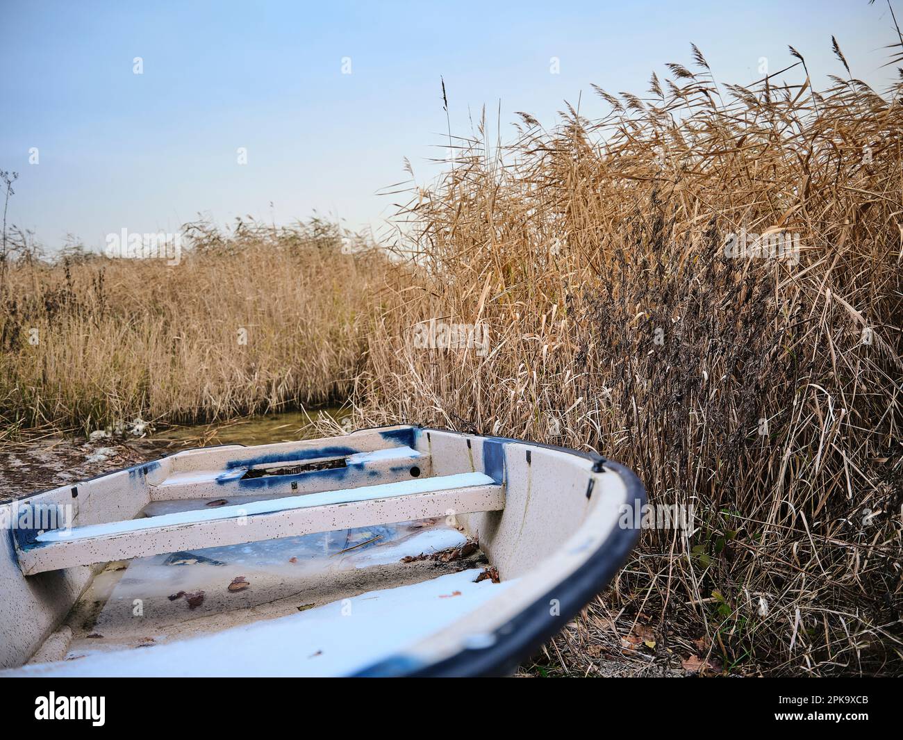 Paesaggio su Usedom in inverno, penisola Cosim, barca a remi in canne Foto Stock