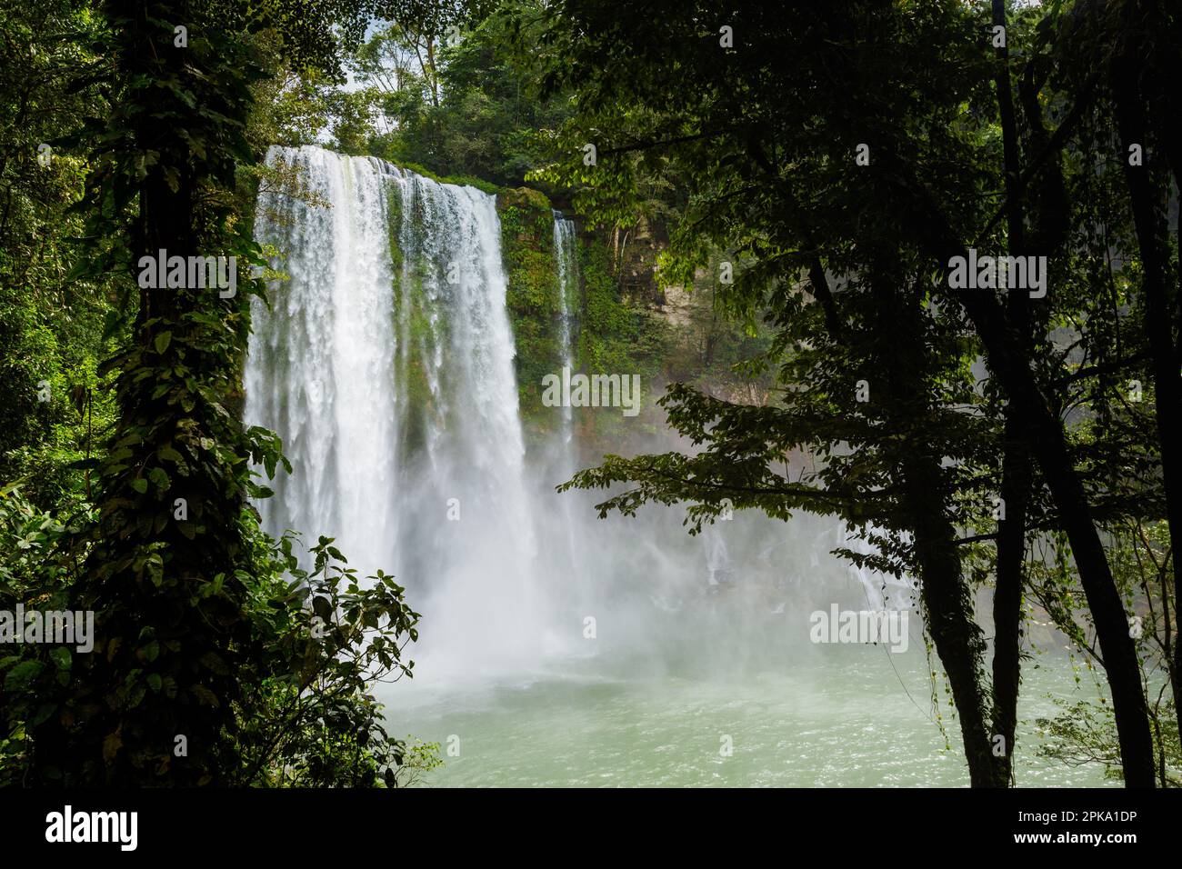 Splendido paesaggio del parco delle cascate di Misol ha nel Chiapas, vicino a Palenque, Messico. Foto con paesaggio vivace. Foto Stock
