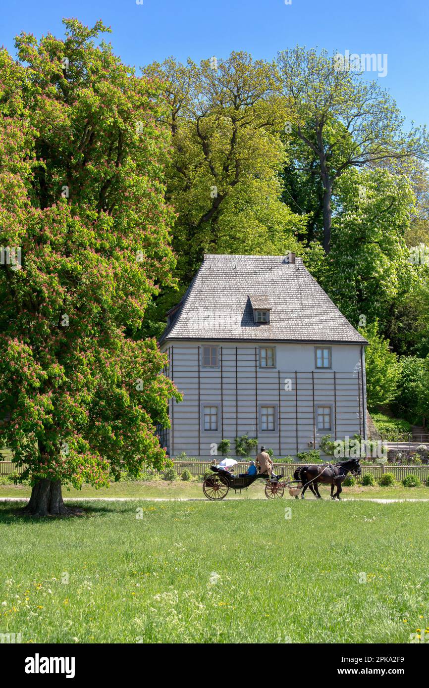 07.05.2018, Germania, Turingia, Weimar - casa giardino di Goethe e giardino nel parco sul ILM. 00A180507D135CAROEX.JPG [VERSIONE DEL MODELLO: NO, PROPRIETÀ Foto Stock