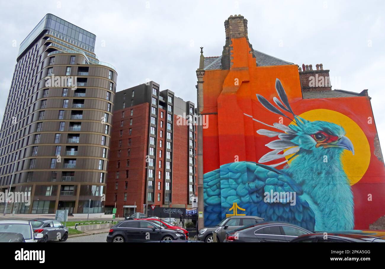 John Culshaw's Liver Bird murale, dipinto sull'iconico edificio Liverpool Wedding House, 3-4 Great George Pl, Liverpool, Inghilterra, UK, L1 7AG Foto Stock