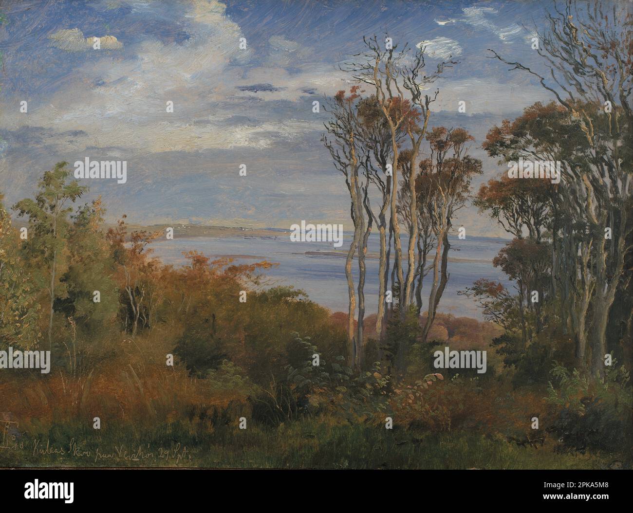 Kolås Wood, Vejrhøj 1846 di Johan Thomas Lundbye Foto Stock