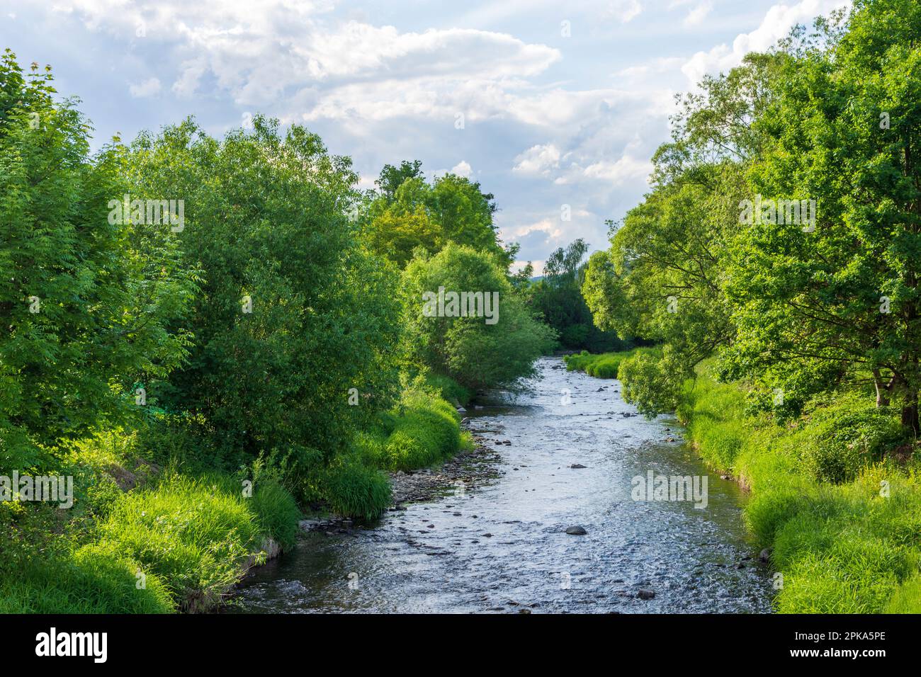 Odry (Odrau), fiume Odra (Oder) a Moravskoslezsky, Regione Moravo-Slesiana (Regione Mährisch-schlesische), Repubblica Ceca Foto Stock