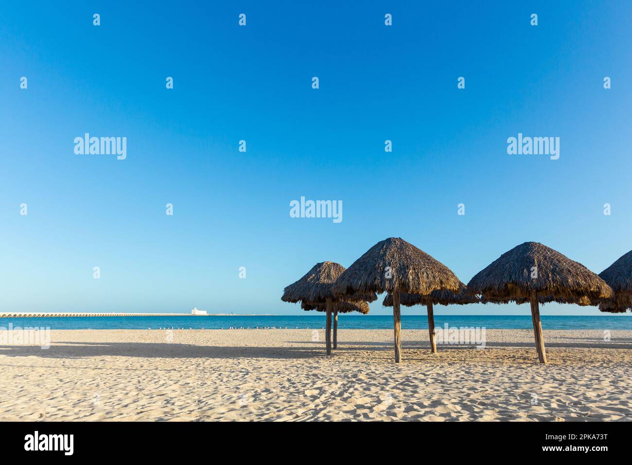 Bellissima spiaggia di Progreso in Messico durante le giornate di sole. Ombrelloni naturali sulla spiaggia bianca e cielo blu. Foto Stock