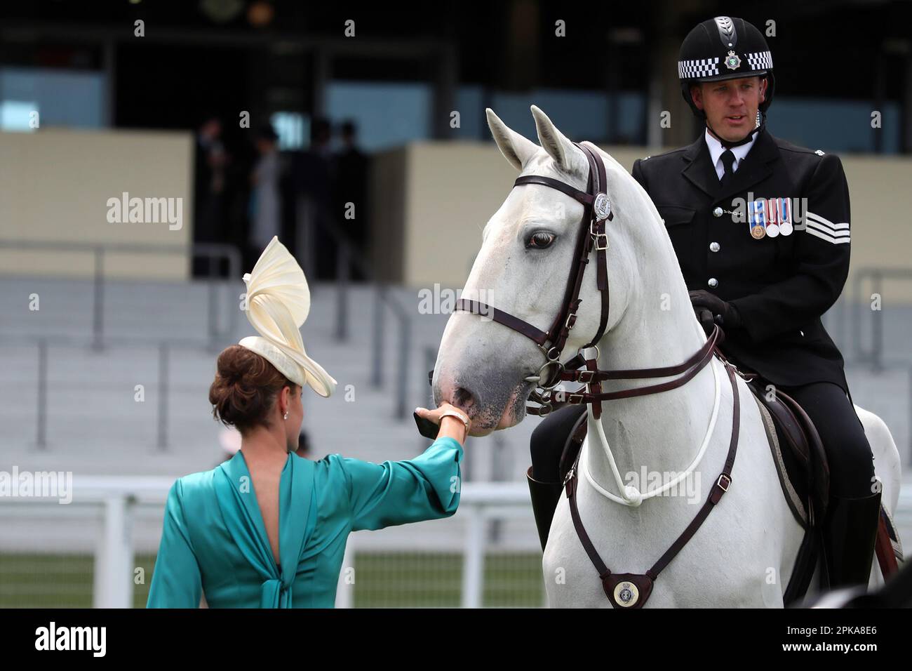 16.06.2022, Gran Bretagna, Windsor, Ascot - donna vestita in modo intelligente in cappello che accarezza un cavallo della polizia. 00S220616D358CAROEX.JPG [VERSIONE DEL MODELLO: NO, PROPRIETÀ Foto Stock