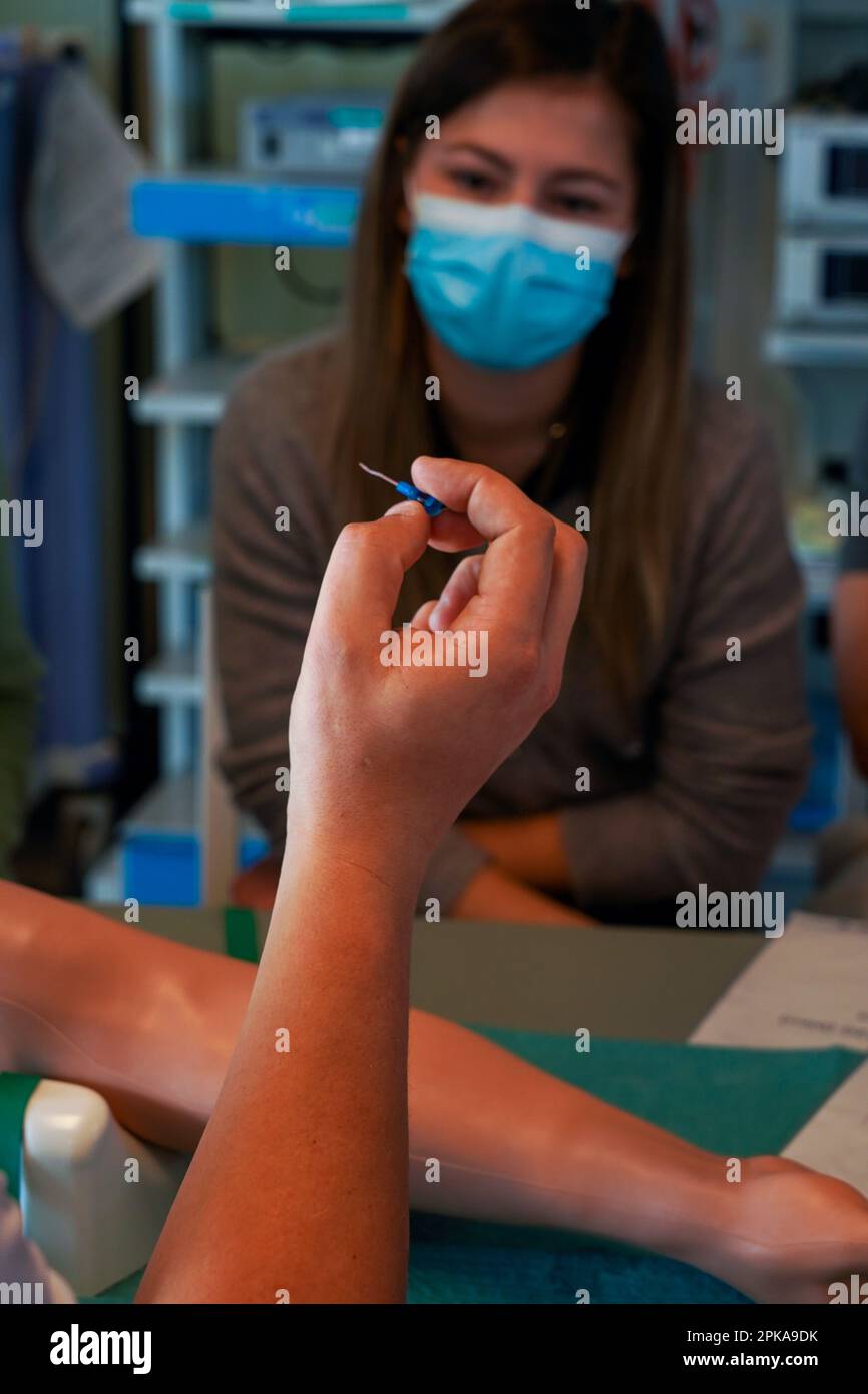 5th anni di studenti di medicina durante un workshop di IV tirocinio. Gli studenti si allenano su un braccio arterioso consentendo la puntura arteriosa e venosa per il campionamento del sangue. Foto Stock