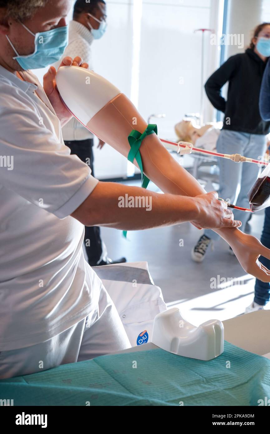 5th anni di studenti di medicina durante un workshop di IV tirocinio. Gli studenti si allenano su un braccio arterioso consentendo la puntura arteriosa e venosa per il campionamento del sangue. Foto Stock