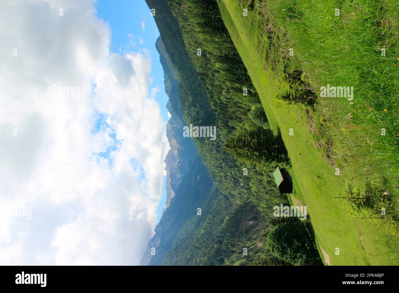 Vista sulla valle Fischbach, sullo sfondo il gruppo Soiern, Soiern, Alpenwelt Karwendel, Krün, Germania, Baviera, alta Baviera Foto Stock