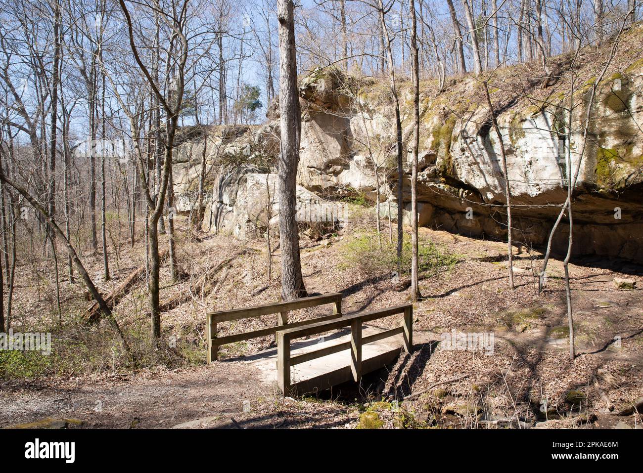 Sentieri e scogliere sull'Indian Creek Nature Trail. Parco statale di Giant City, Makanda, Illinois. Foto Stock