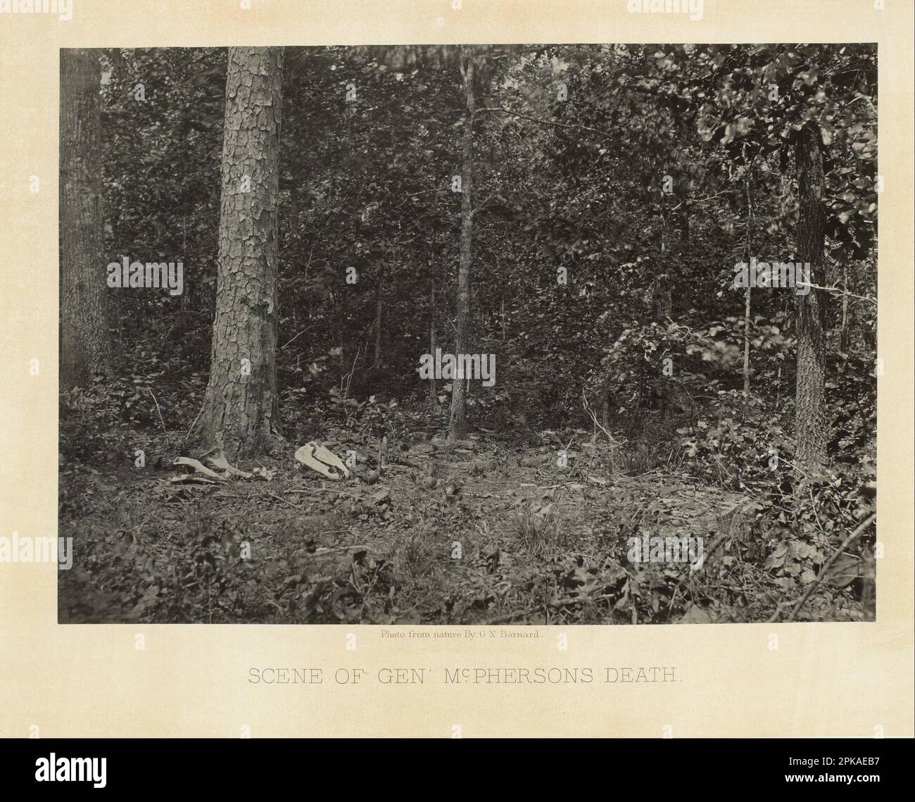 Scena della morte del generale McPherson 1864/1865 di George N. Barnard Foto Stock