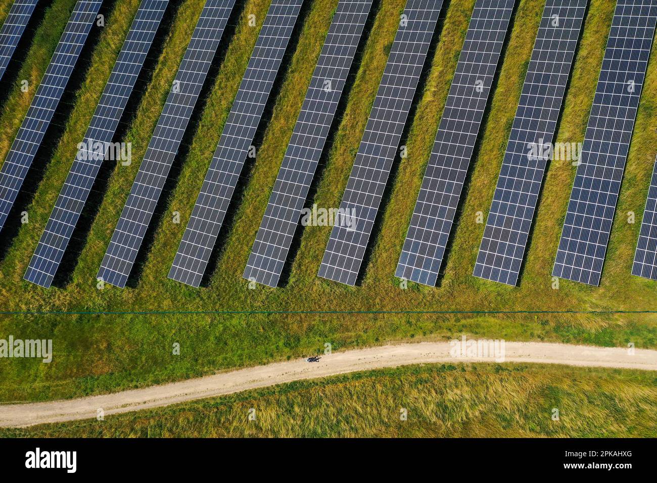 17.06.2022, Germania, Renania settentrionale-Vestfalia, Dortmund - Parco solare Deusenberg. L'impianto all'aperto si trova in un ex sito di discarica a Dortmund Deu Foto Stock