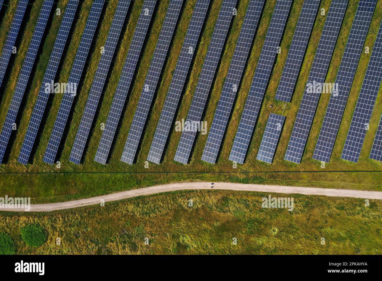 17.06.2022, Germania, Renania settentrionale-Vestfalia, Dortmund - Parco solare Deusenberg. L'impianto all'aperto si trova in un ex sito di discarica a Dortmund Deu Foto Stock