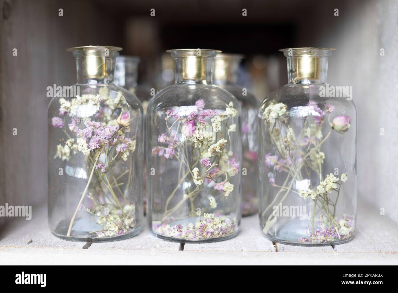 Tre vasi di vetro con fiori secchi Foto Stock