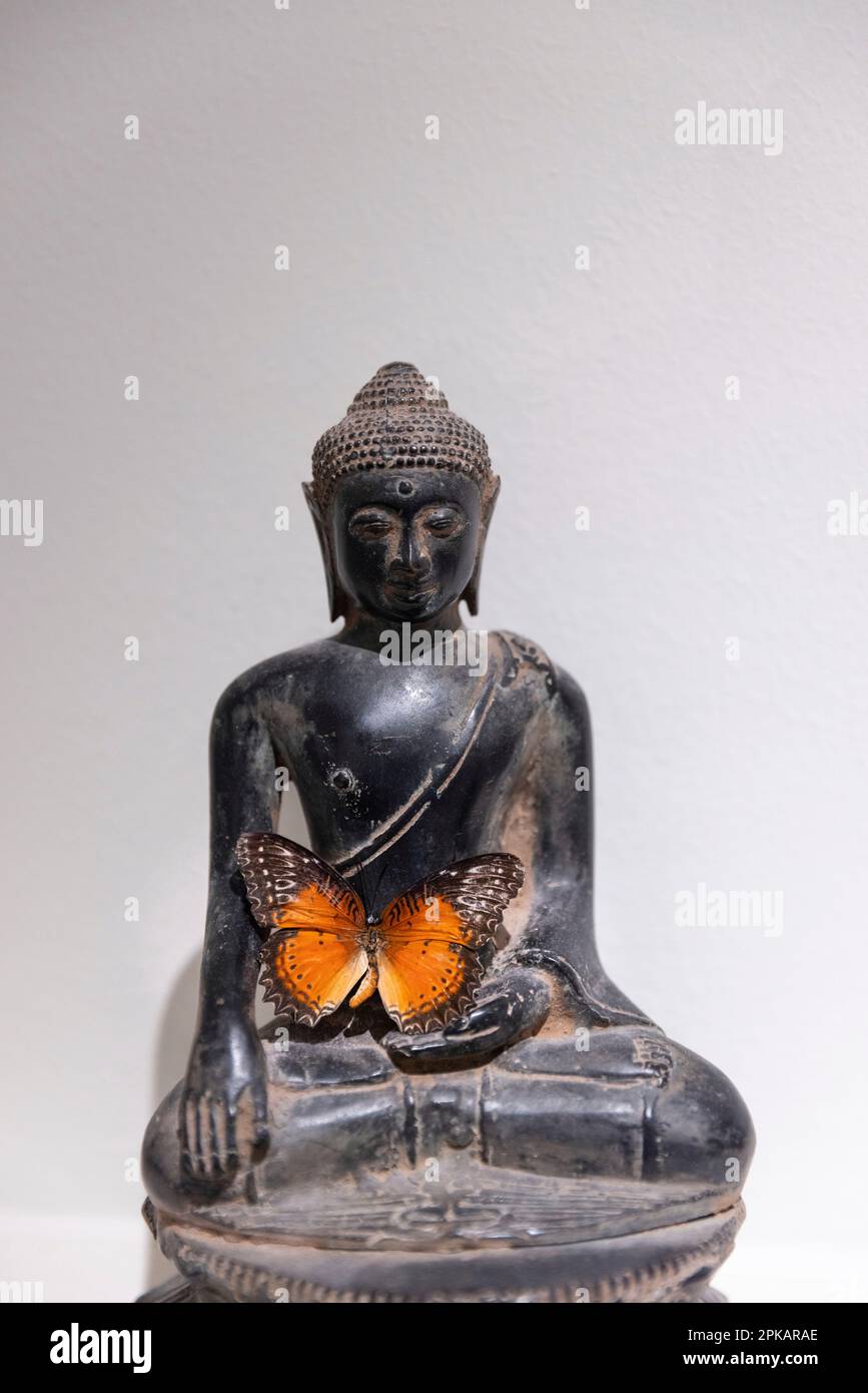 Farfalla arancione su una figura di Buddha Foto Stock