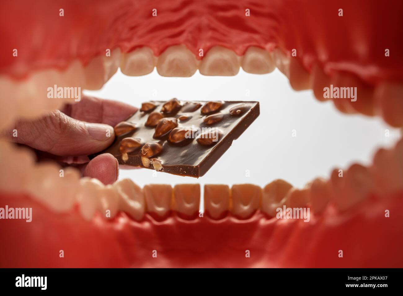 Modello di cura dentale aperto, cavità orale, mano dell'uomo che tiene cioccolato al dado, dettaglio, immagine simbolo, snack dolci cose, cura dentale adeguata, carie dentali, fondo bianco, Foto Stock