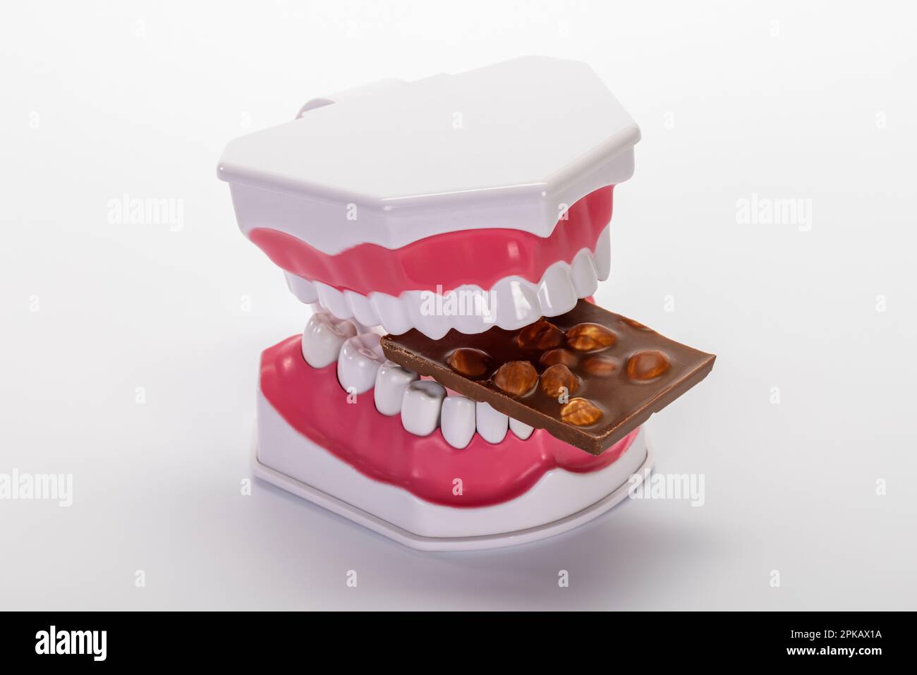 Modello dentale aperto, con cioccolato alla noce, dettaglio, immagine simbolo, snack dolci, cura dentale adeguata, carie dentale, sfondo bianco, Foto Stock