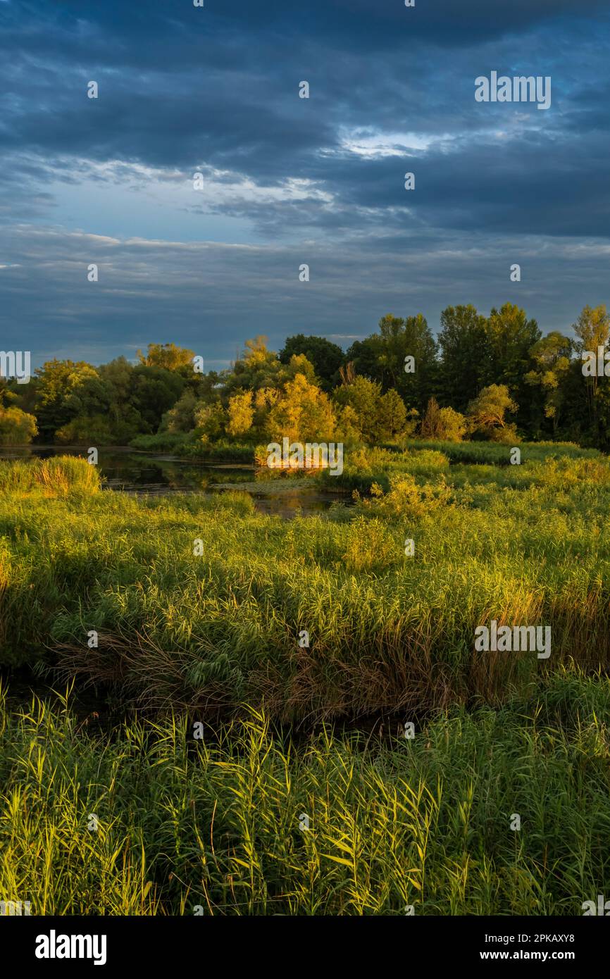 Tramonto nel santuario degli uccelli riserva naturale Garstadt vicino Heidenfeld nel quartiere di Schweinfurt, bassa Franconia, Baviera, Germania Foto Stock