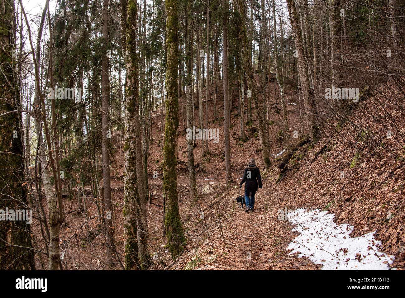 Una donna che fa escursioni con il suo cane attraverso una foresta nelle montagne bavaresi, in Germania Foto Stock