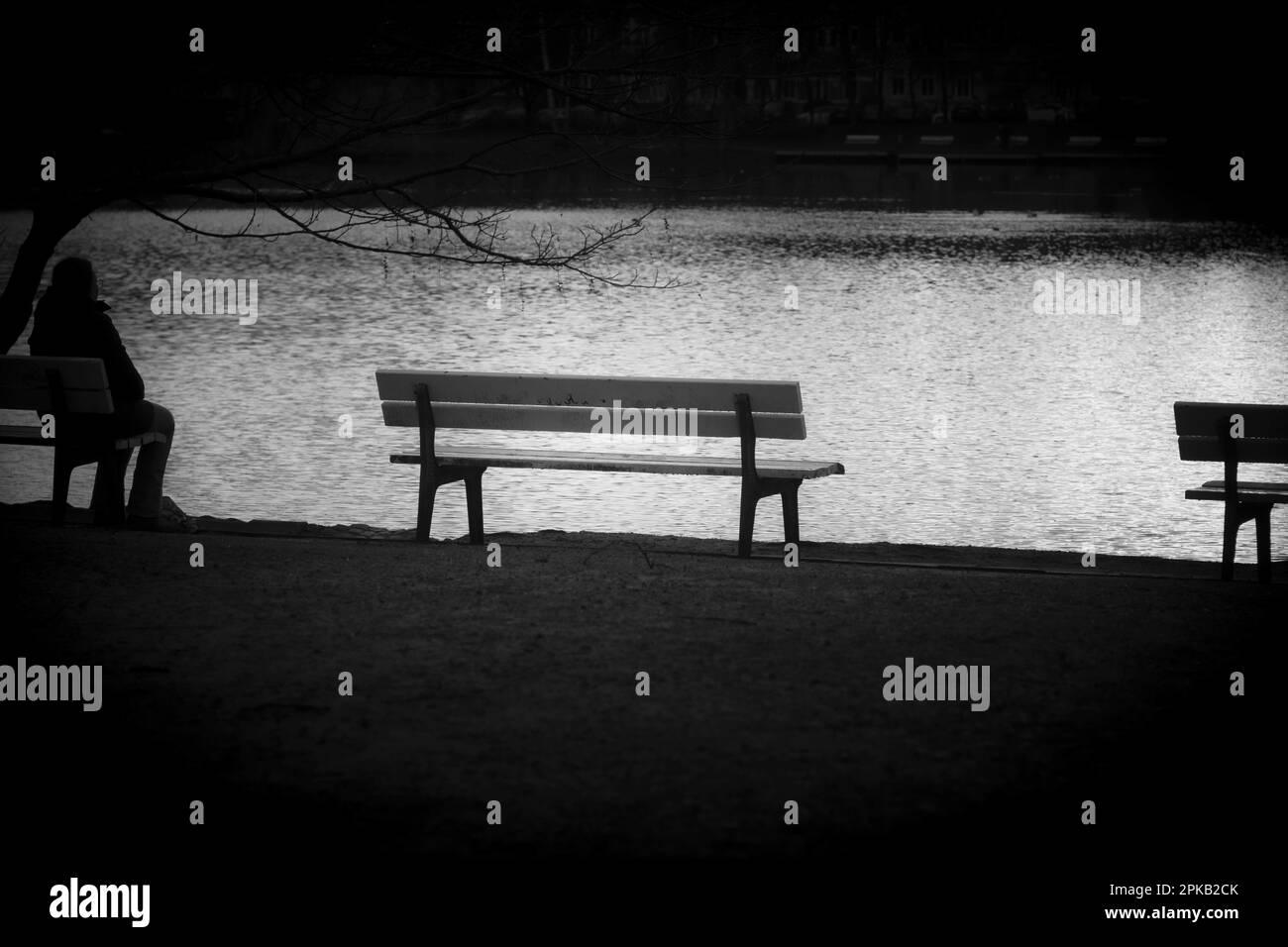 Parco, panchine sull'acqua, Kiel, Schleswig-Holstein, Germania Foto Stock