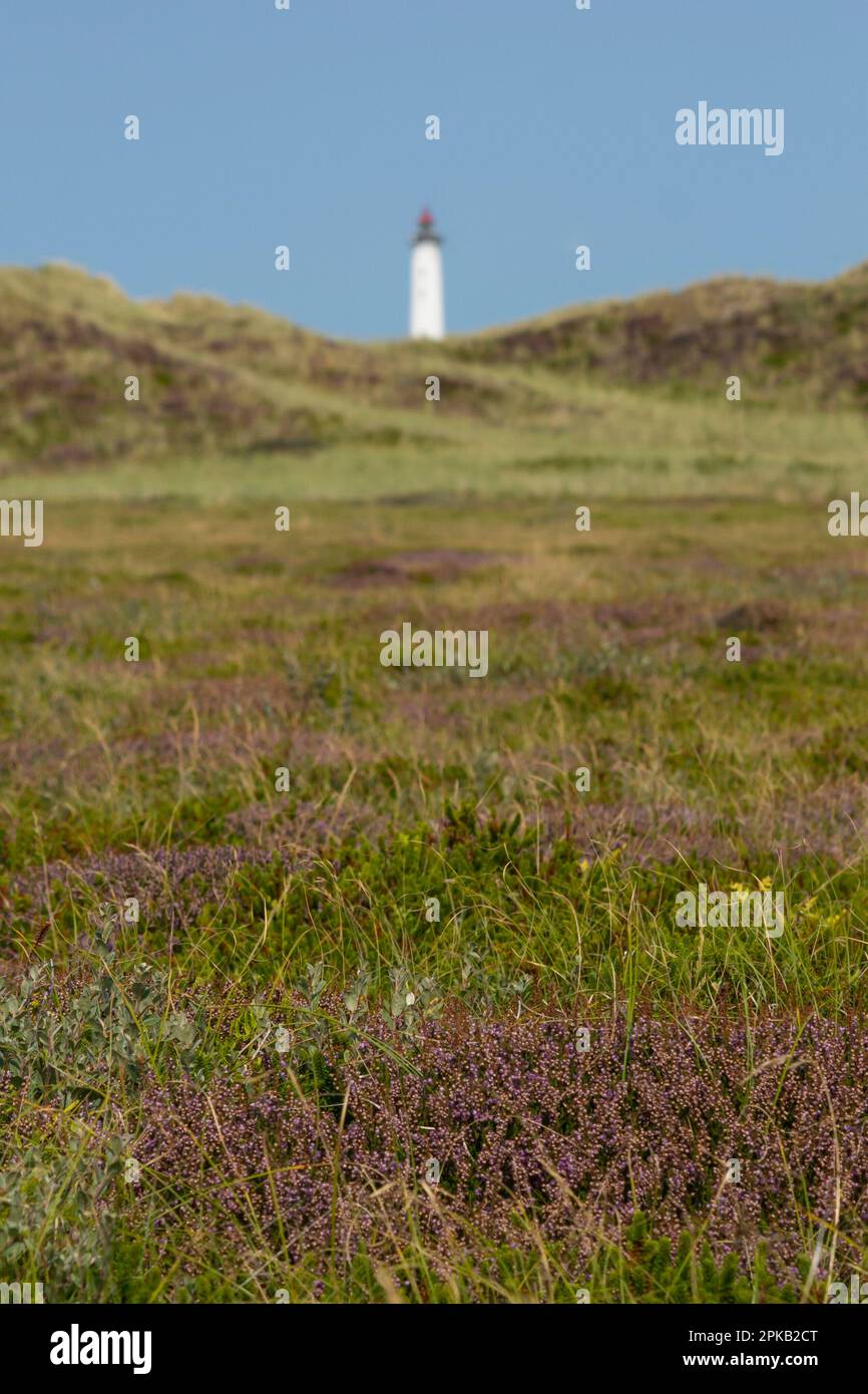 Faro di Hvide Sande, Danimarca, vacanza, deserto, paesaggio, senza nuvole Foto Stock