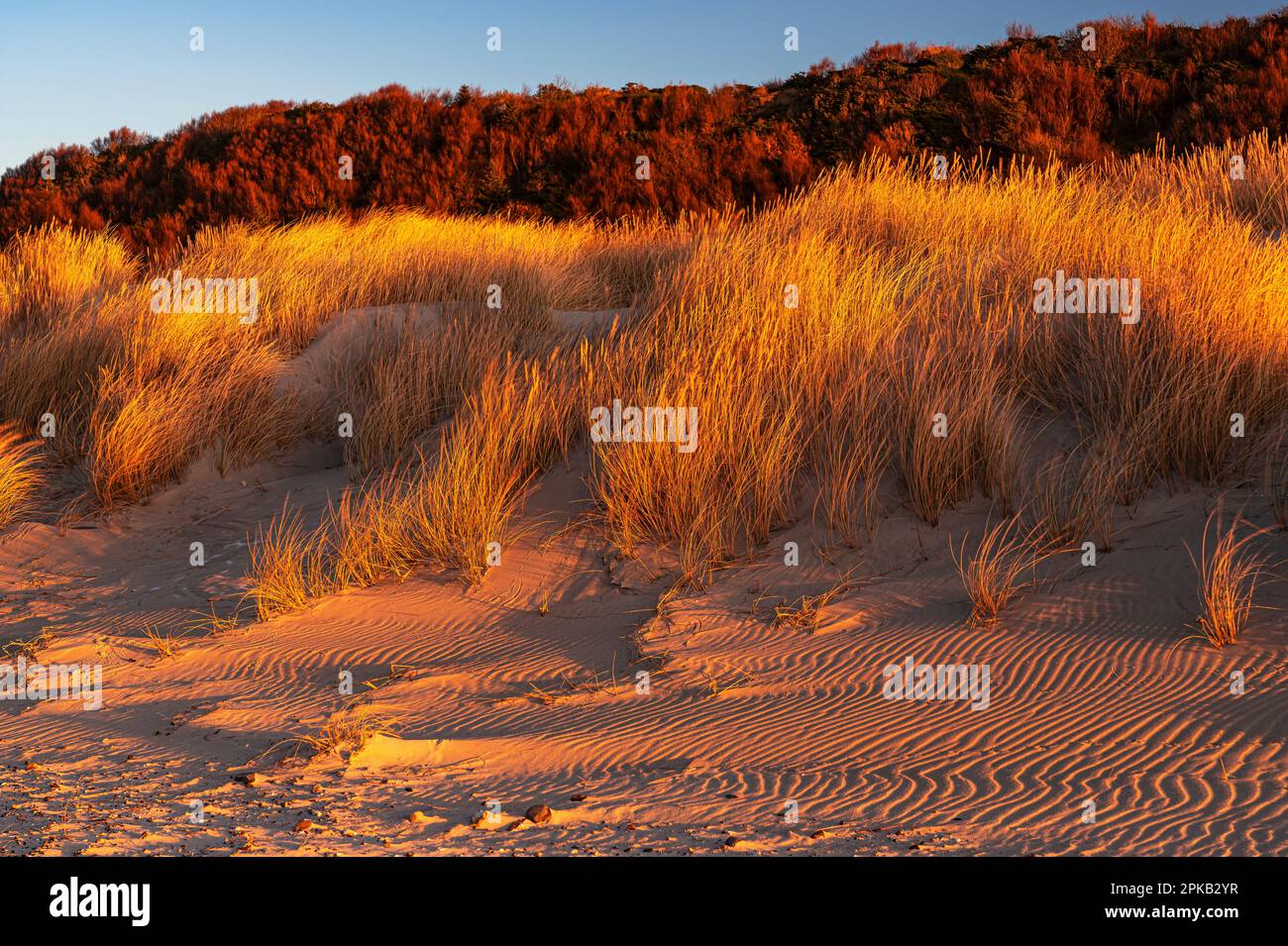 Coastal Impression, Anholt Island, Orkenen, Kattegat, Mar Baltico, Danimarca Foto Stock