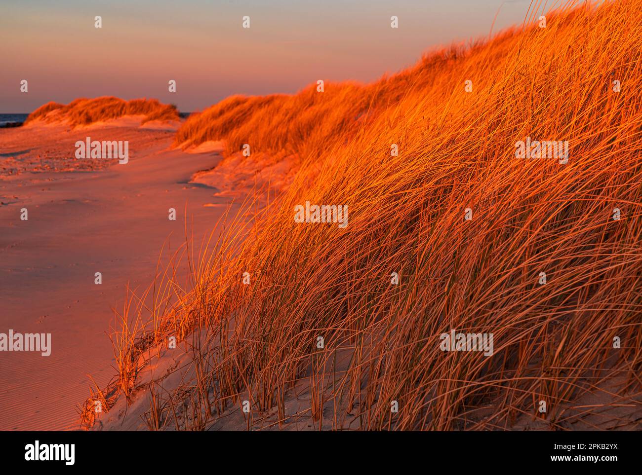 Coastal Impression, Anholt Island, Orkenen, Kattegat, Mar Baltico, Danimarca Foto Stock