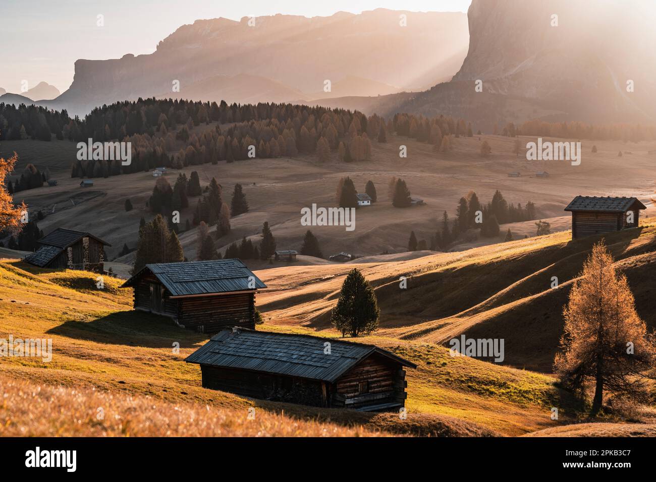 Alba, Alpe di Siusi, Gruppo del Sella, Alto Adige, Italia, Autunno, Dolomiti Foto Stock