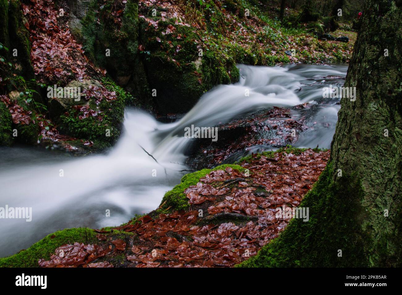 Valle del torrente d'argento a Horn Bad Meinberg Foto Stock