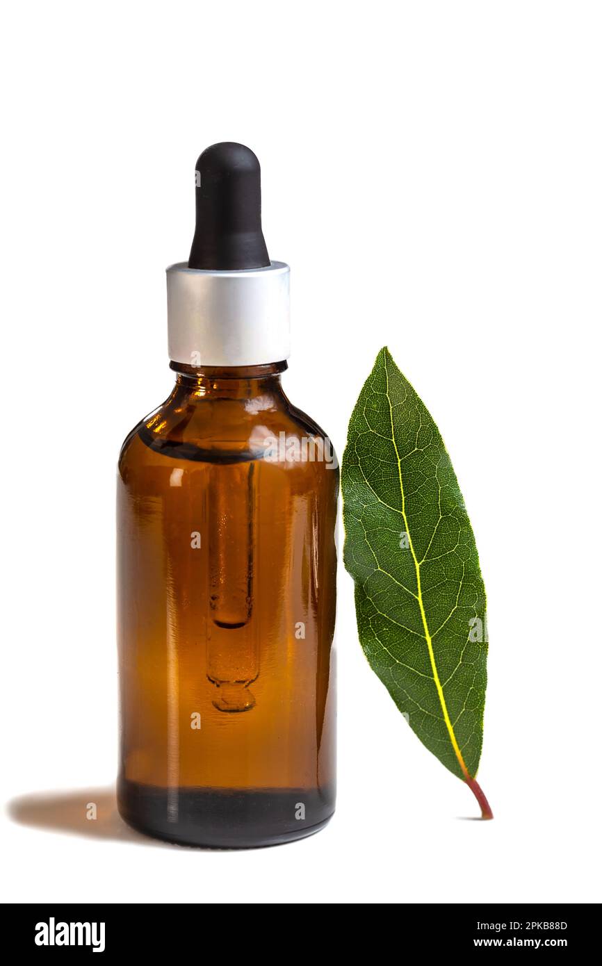 Bottiglia di olio essenziale di alloro. Foto Stock