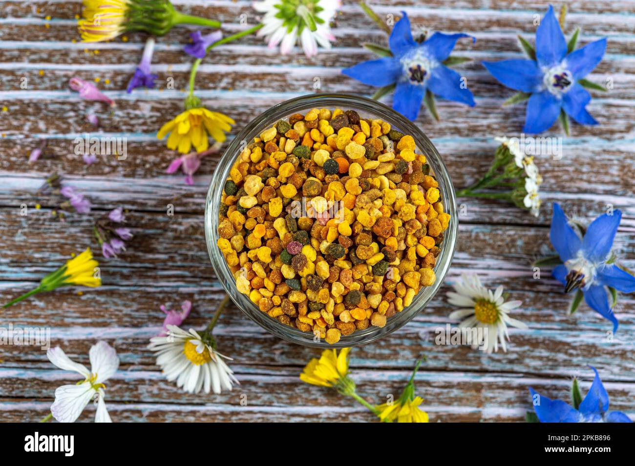 Vaso di polline. Foto Stock